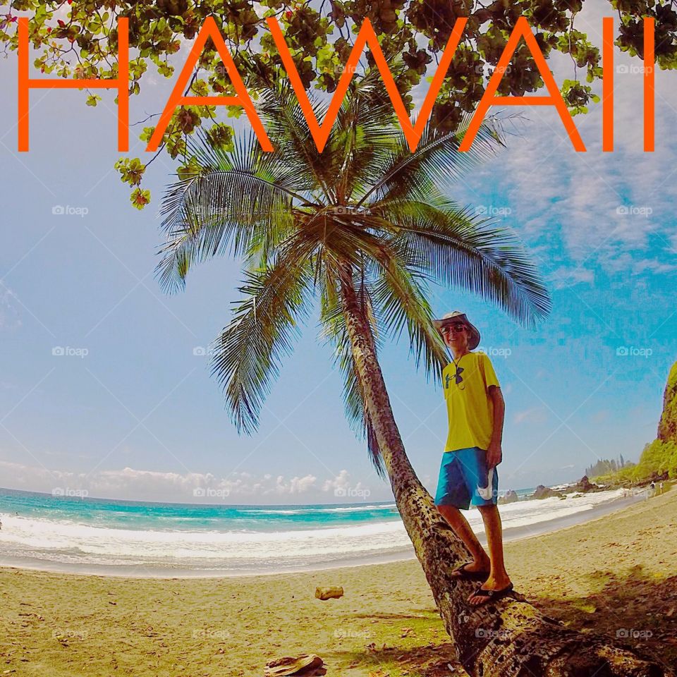 HAWAII Palm tree. Standing on a palm tree on a beach in Hawaii
