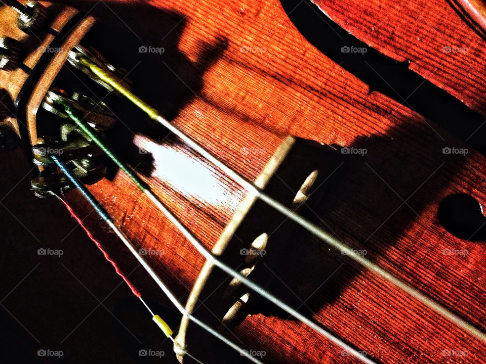 Detail of strings and bridge and polished wood body of a violin