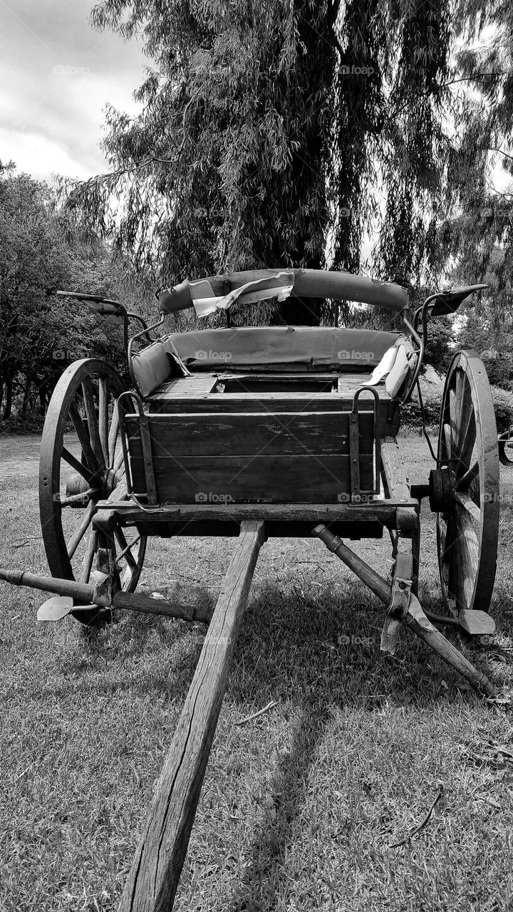 old wagon