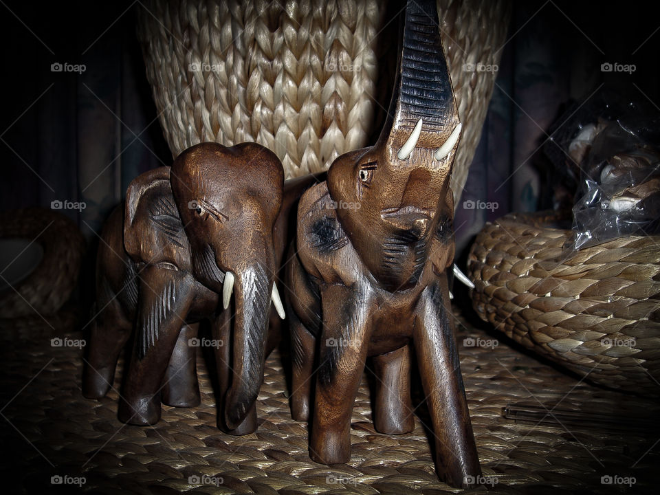 Elephants