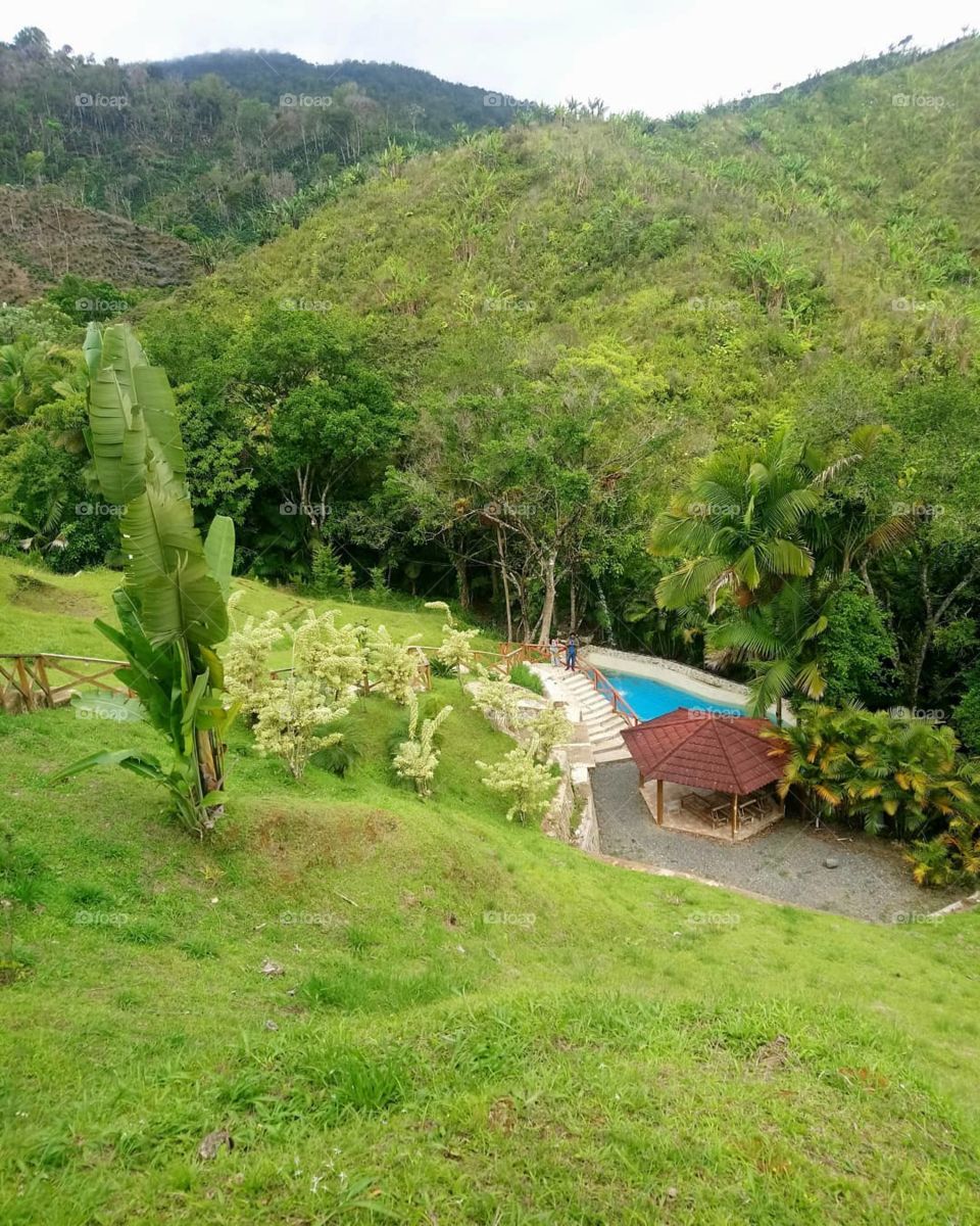 si quieres disfrutar de unas lindas vacaciones en areas verdes piscina buena comida te invito a conocer mi pais Republica Dominicana.