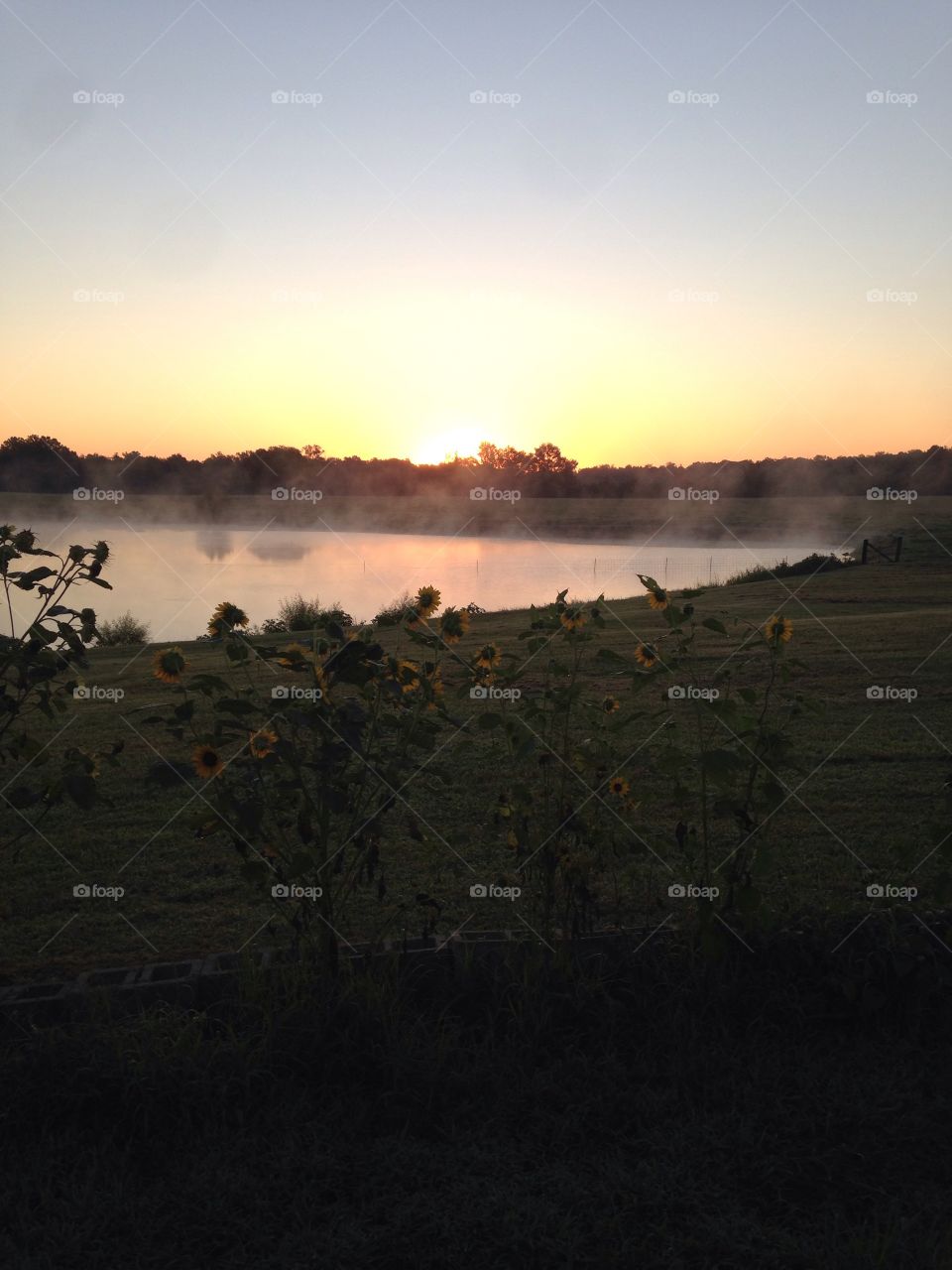 Sunrise on the farm. A beautiful sunrise on a farm in Alabama