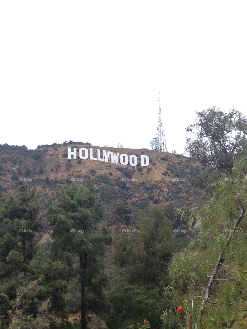 Hollywood sign 