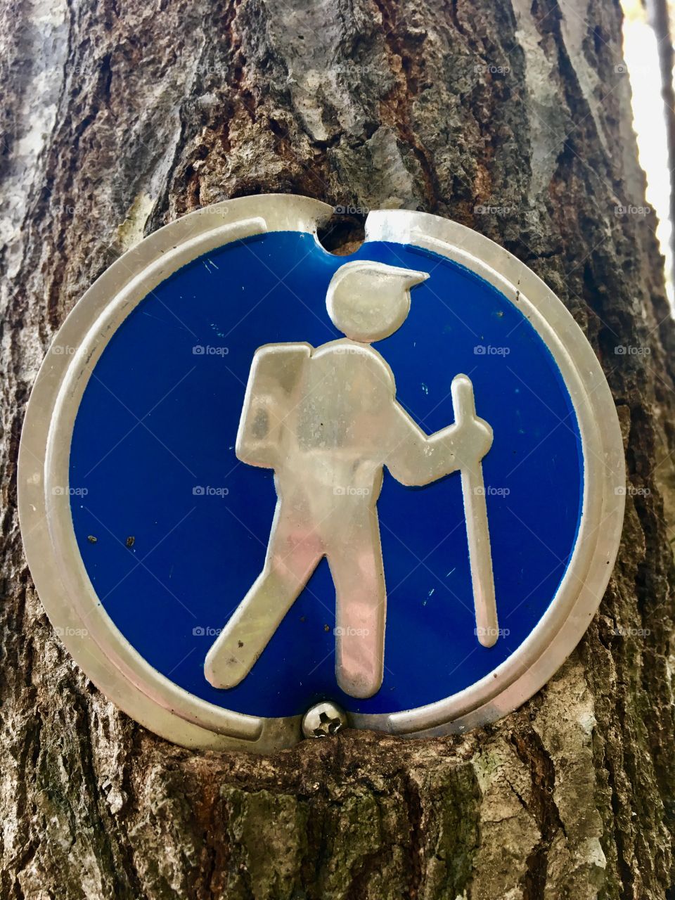 Millpond Trail marker at Yates Mill Historic Park