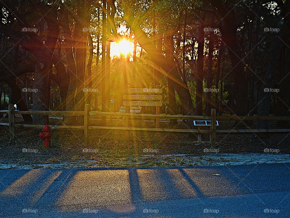 
Looking for shadows - Fence shadow from sunset through trees - Shadows help define the shape of objects in an image, conveying the sense that you're looking at something that's three-dimensional