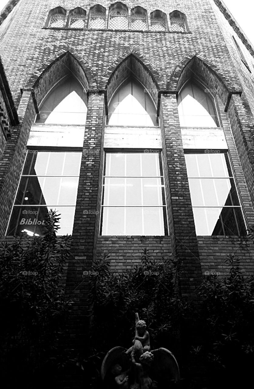 Windows. the windows of castle