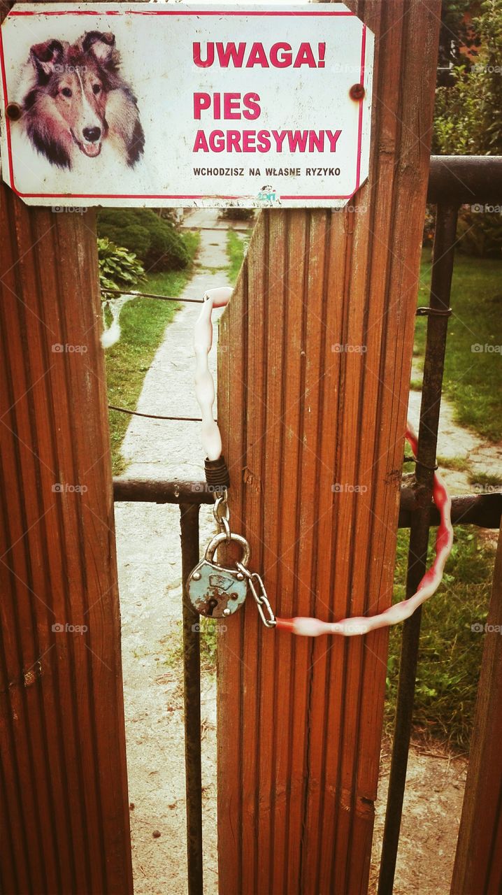 "Attention aggressive dog. You are at your own risk." The gate to the house.