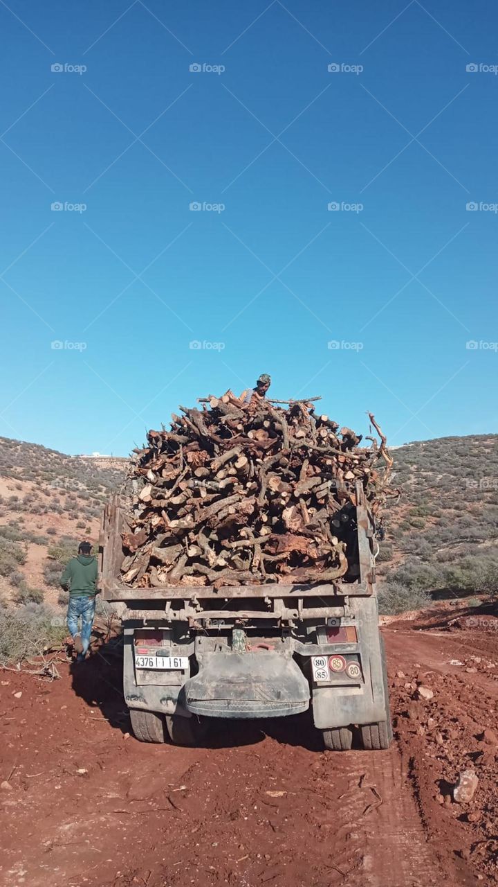 a truck carriying wood.