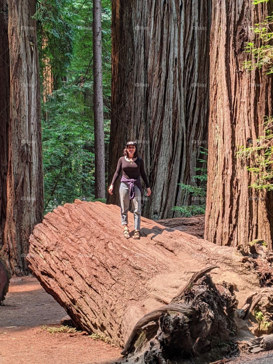 Natural beauty landscape 