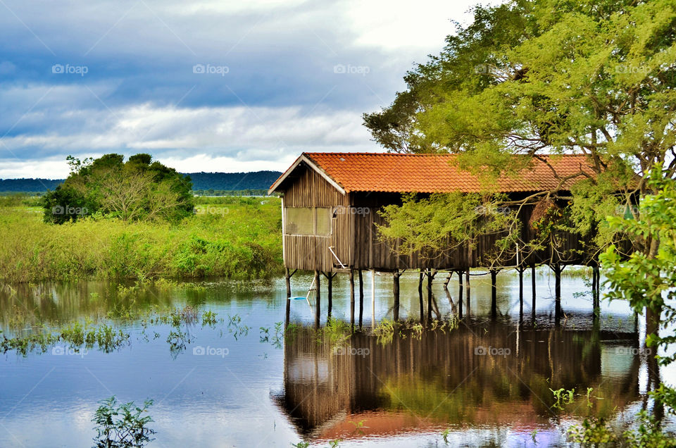 reflection