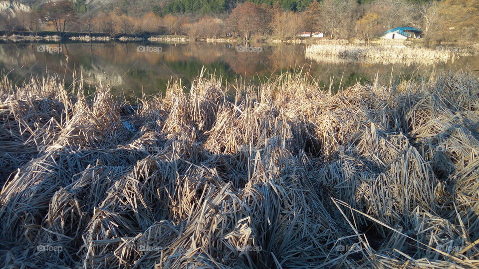 Landscape, dry grass, lake, house