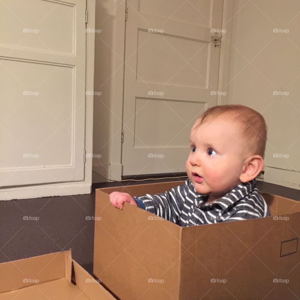 Toddler boy sitting in cardboard box