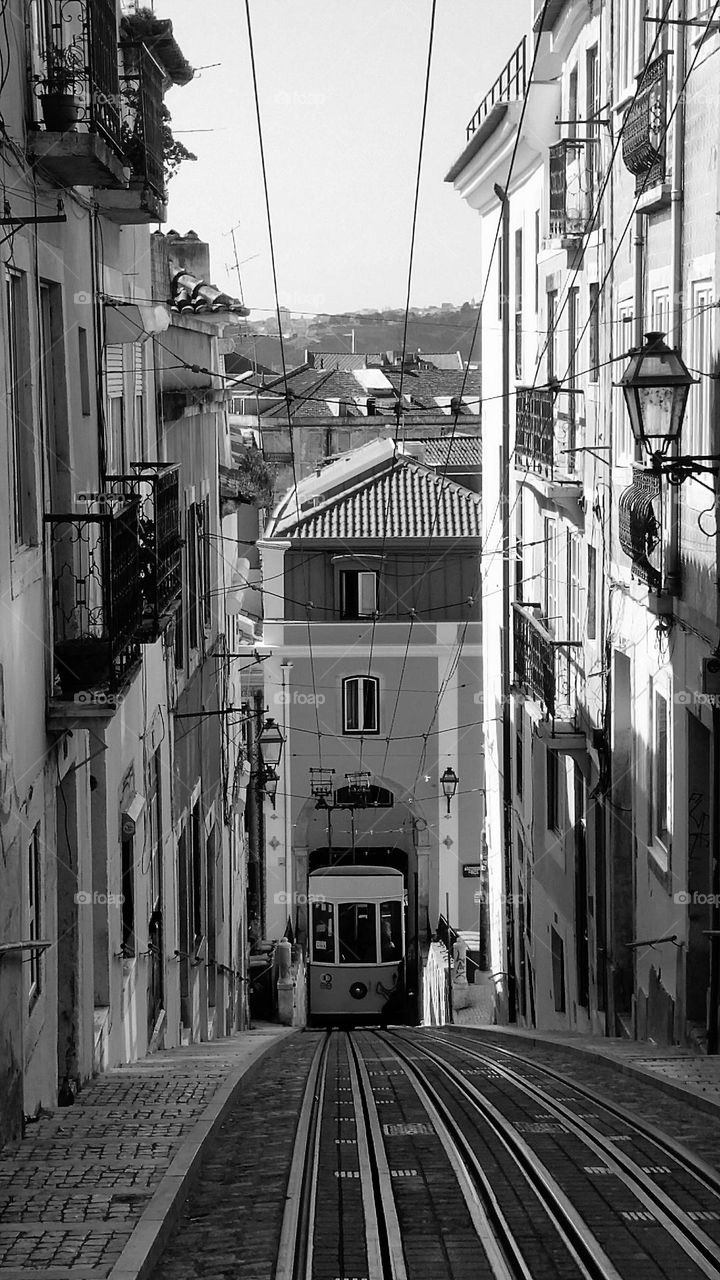 lisbon street