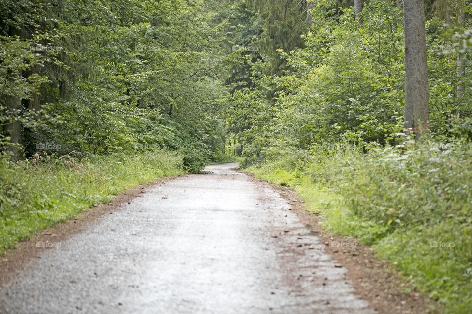 Walking on wild nature forest summer feeling holidays Crete Island Greece amazing places to visit naturalism adventure time hustling daydreaming be free