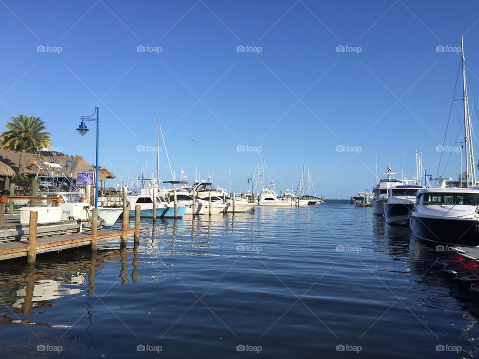 Coconut Grove Marina