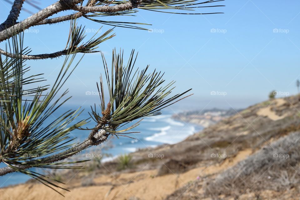 Fall hike, San Diego