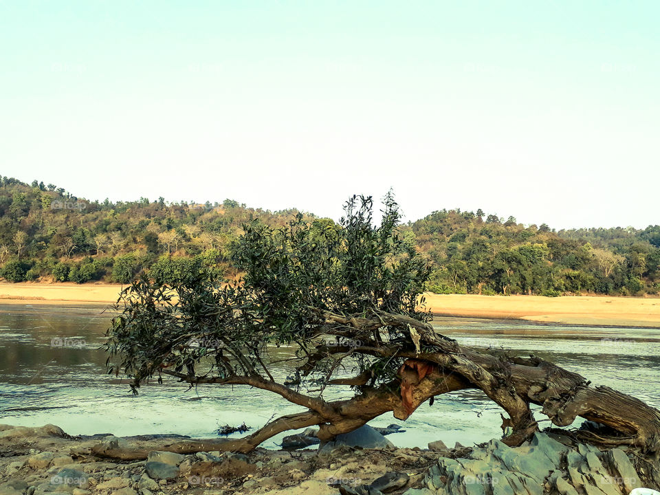 rocks, a fallen tree, a river, sand, a small mountain and sky.
