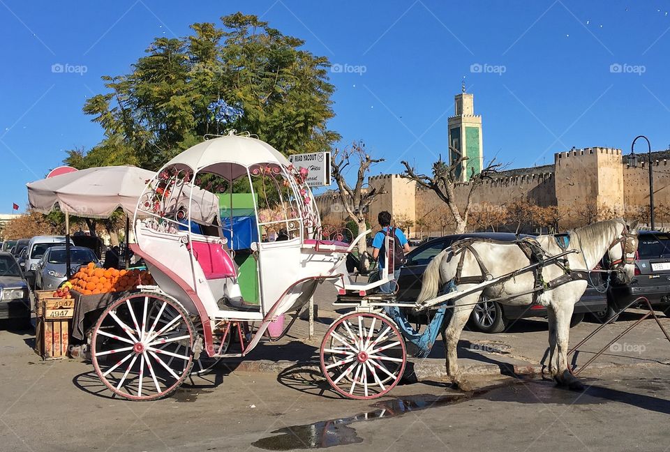 Travel, Tourism, Cart, City, Town