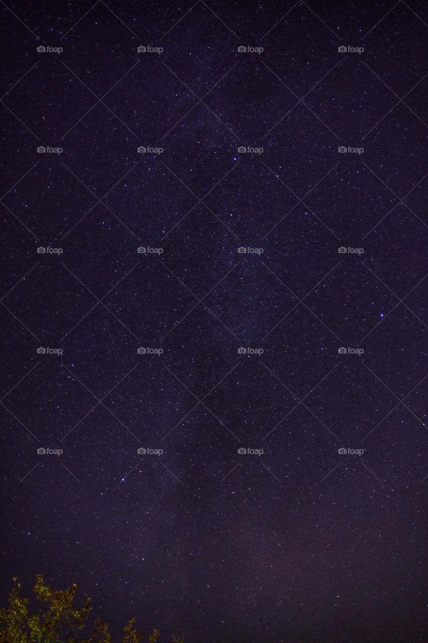 Night Sky