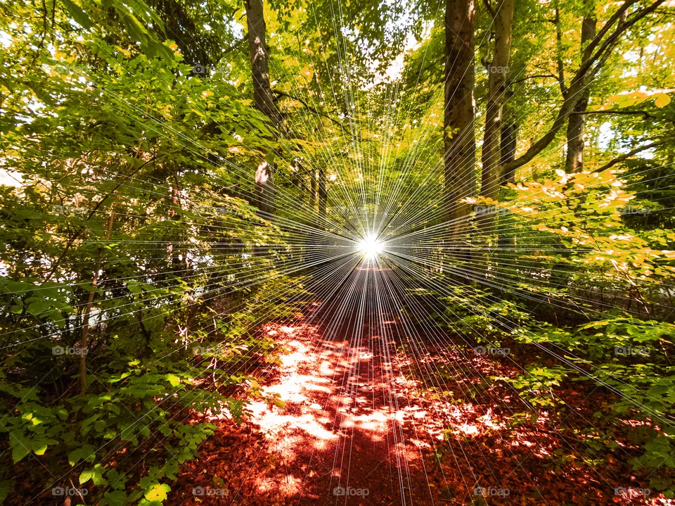 Ray of light