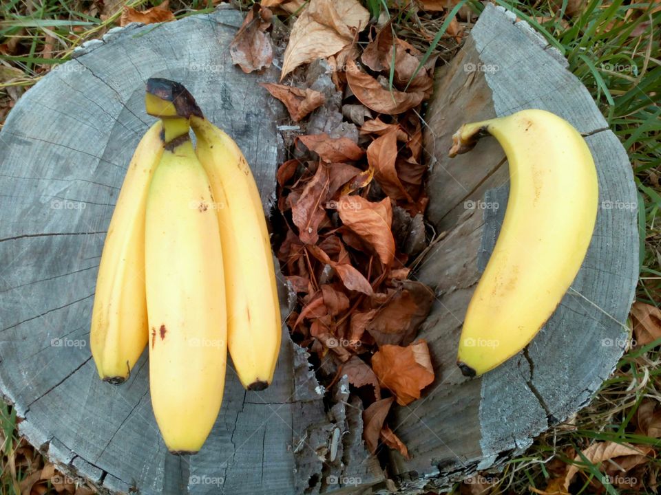 Banana, No Person, Fruit, Fall, Nature