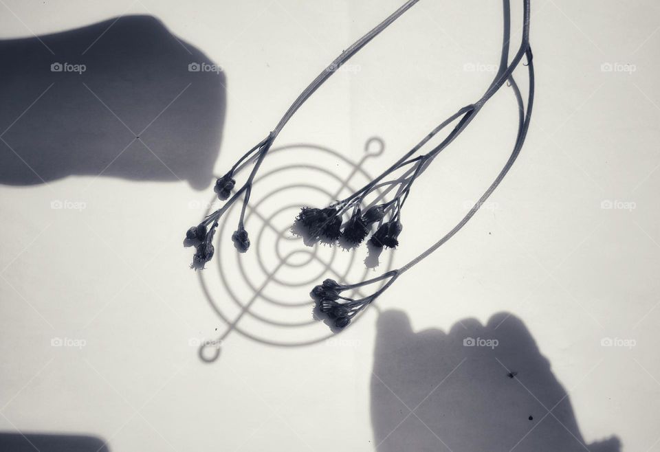 Circle shaped shadows