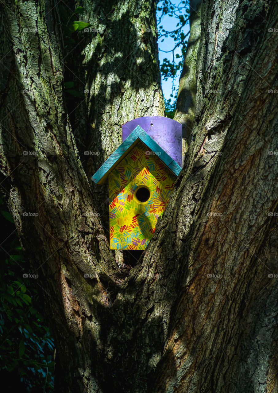 Colorful birdhouse.