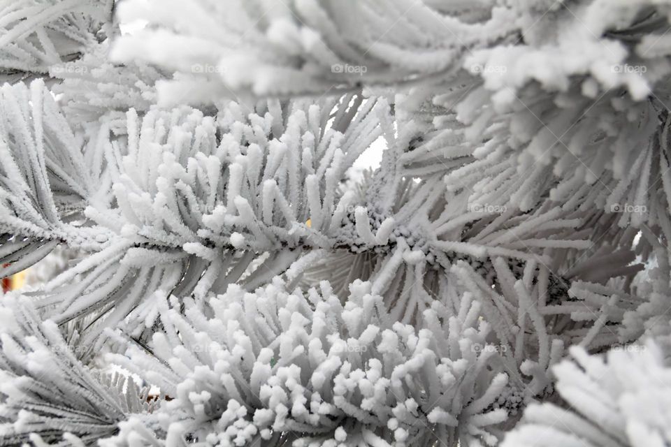 Trees and bushes are covered with white snow and winter pattern in winter in the park and city.
