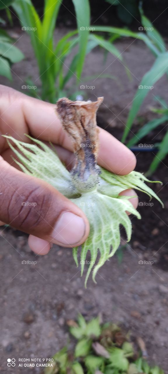 You can tell the price of poor tears.