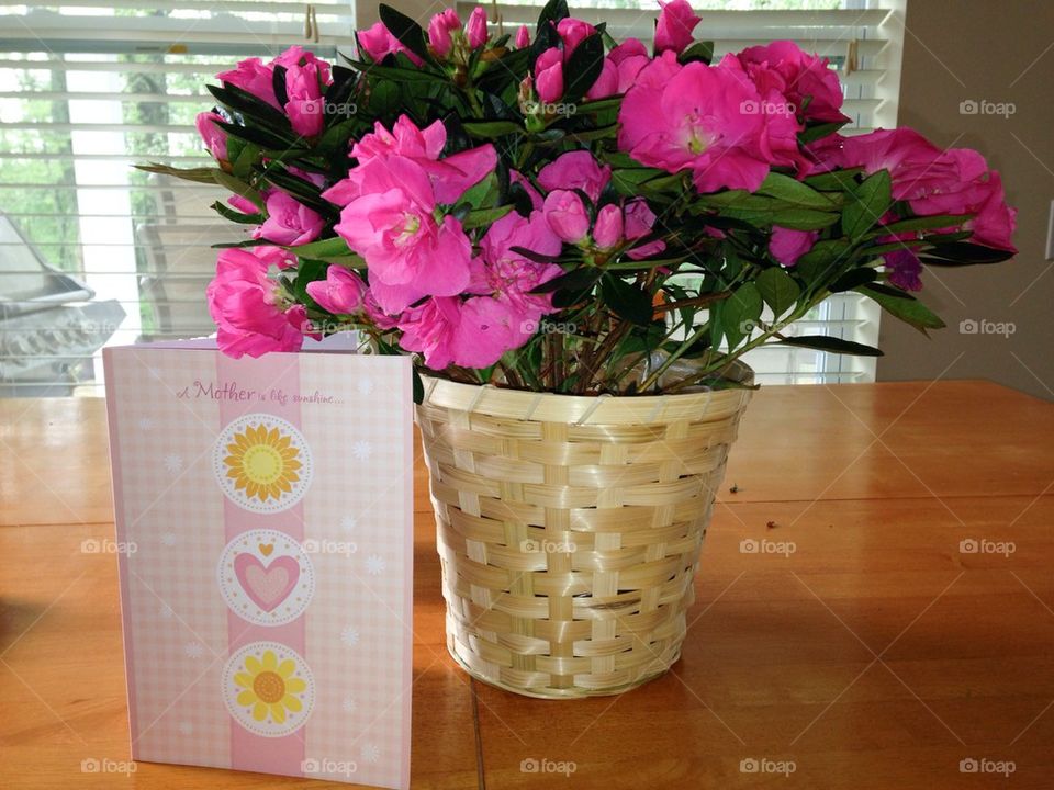 Mother's Day surprise