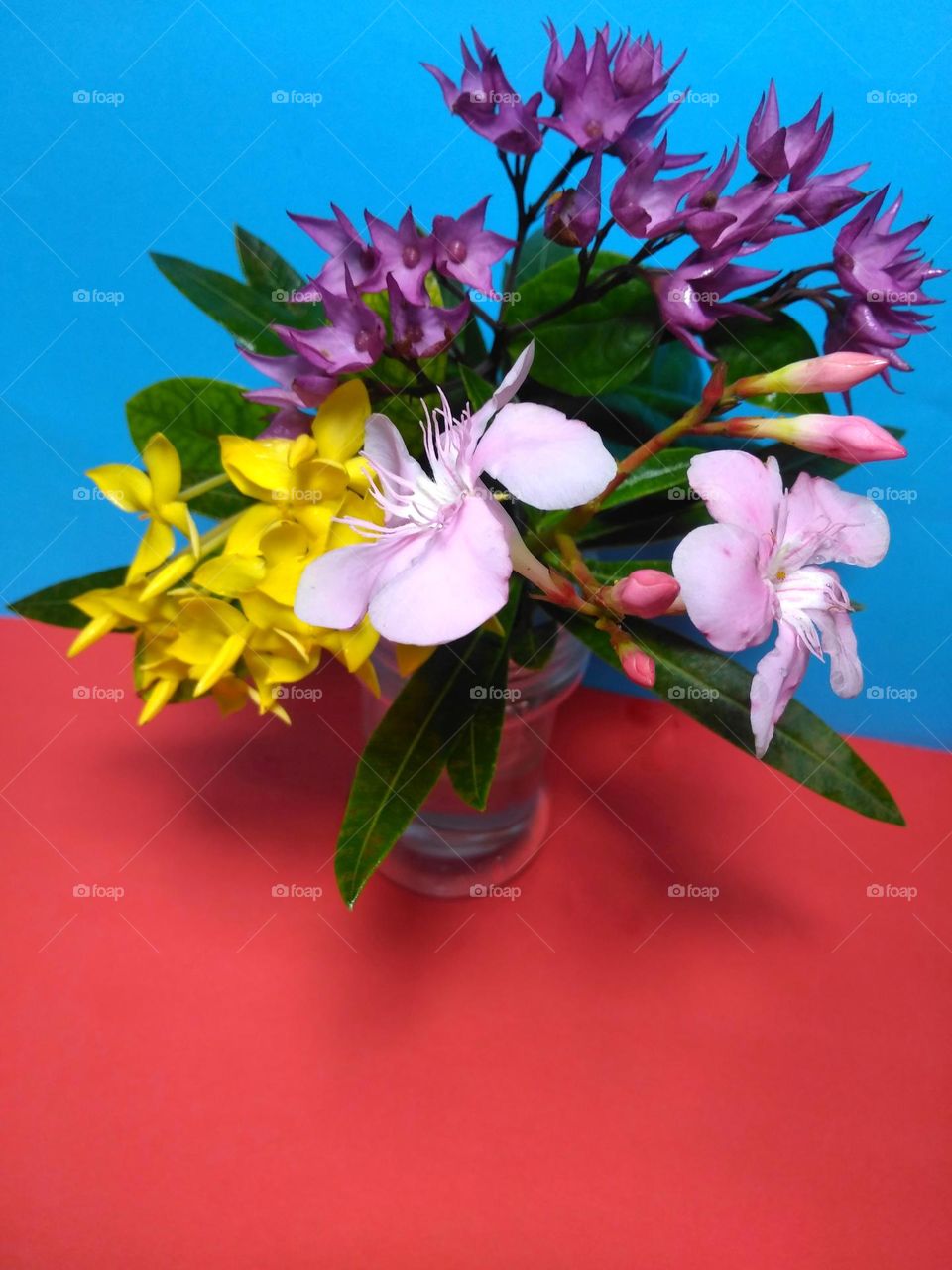 Beautiful colored flowers on vase