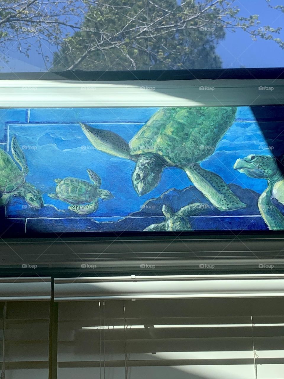Sea turtles 