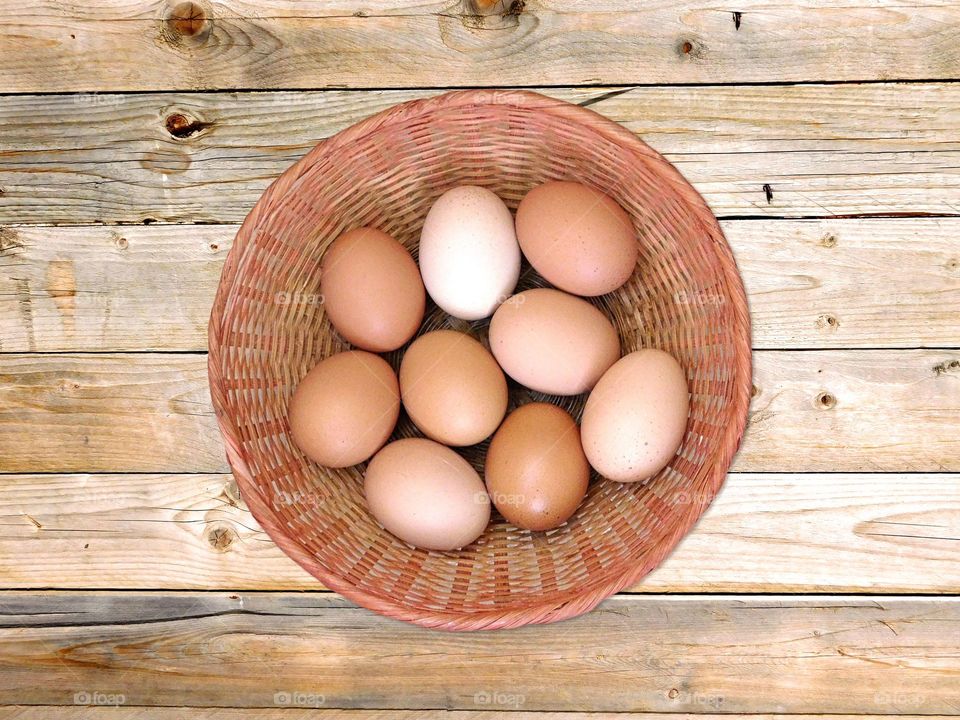 eggs