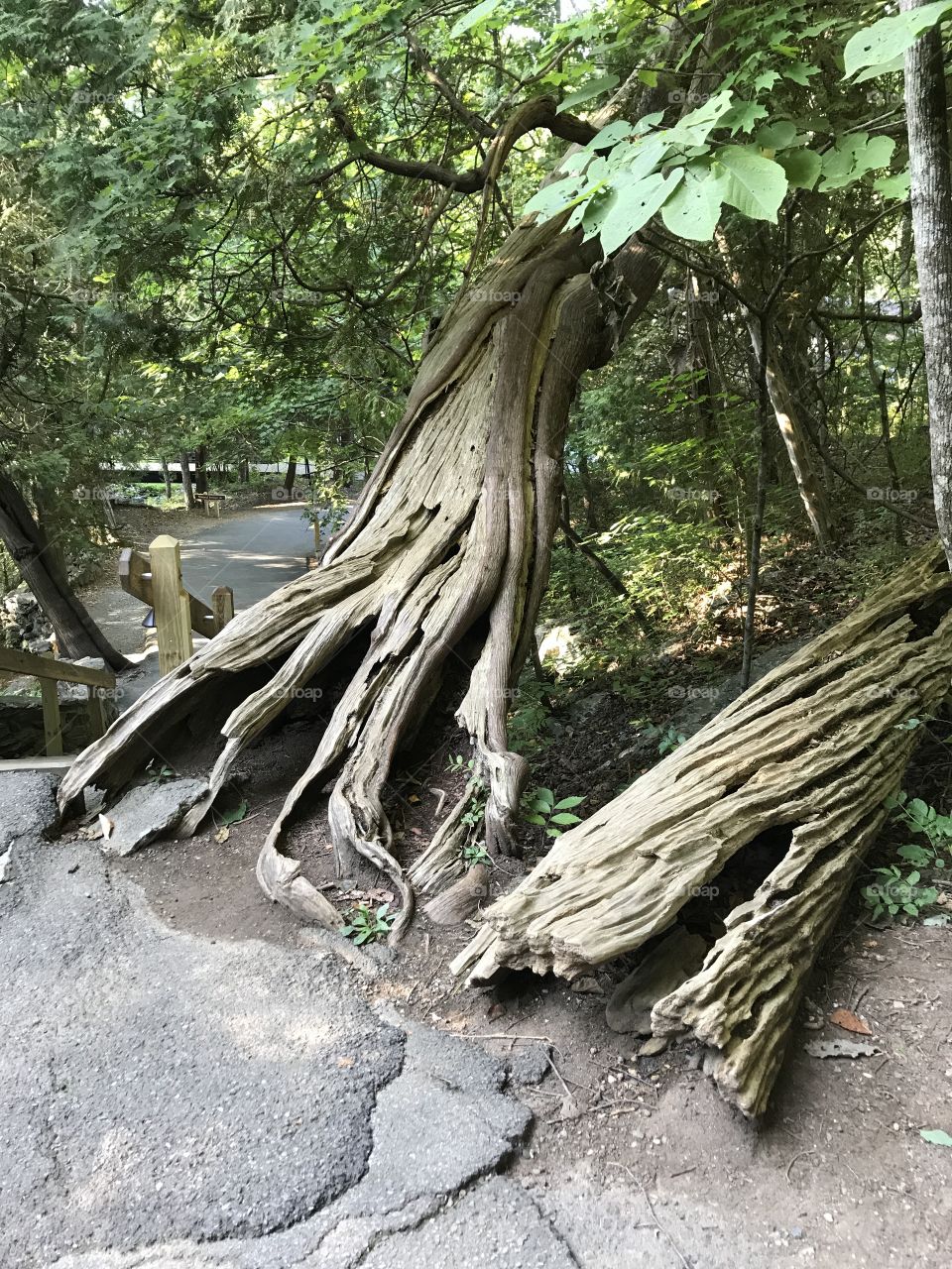 Natural bridge Virginia 