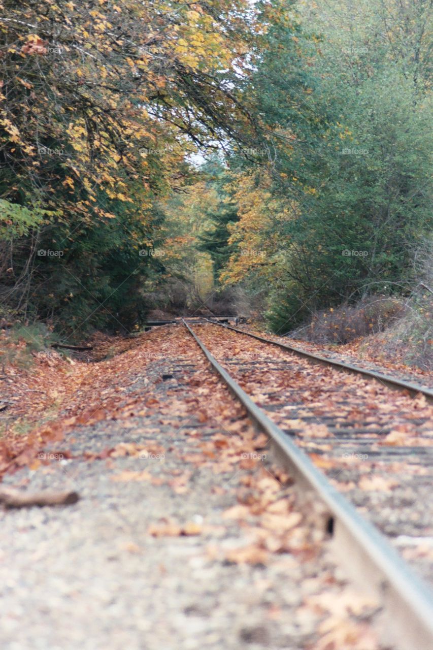 Abandonded railroad tracks