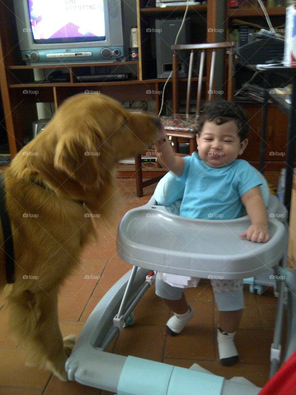 Cuando la inocencia de un bebé y la nobleza de un perrito se juntan.