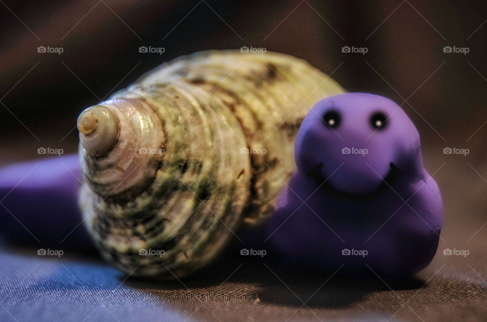 Snail
