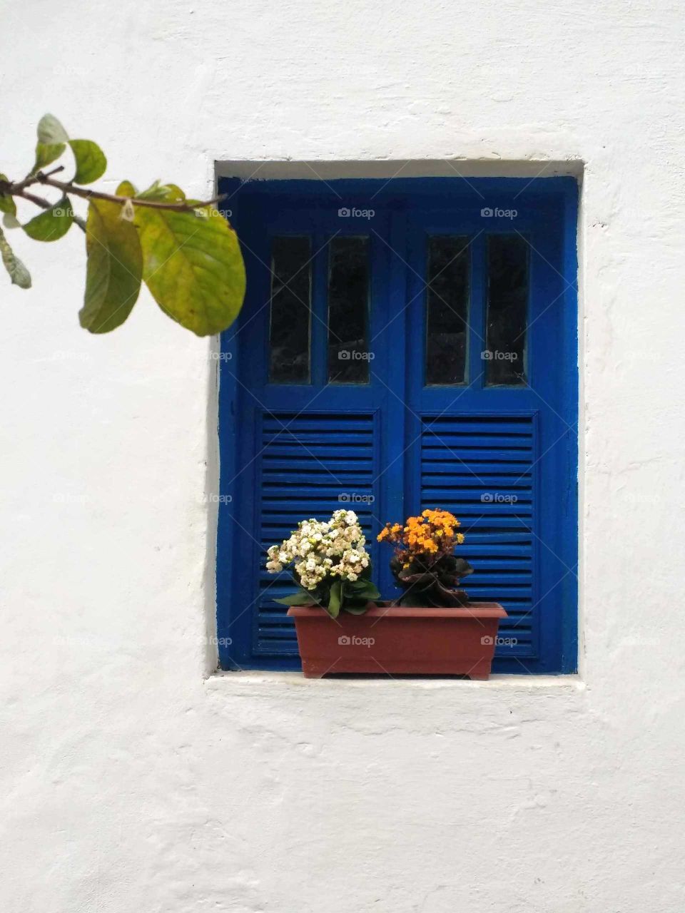 A blue window with colorful flowers