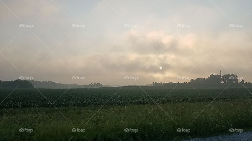 Sunrise looking like the moon