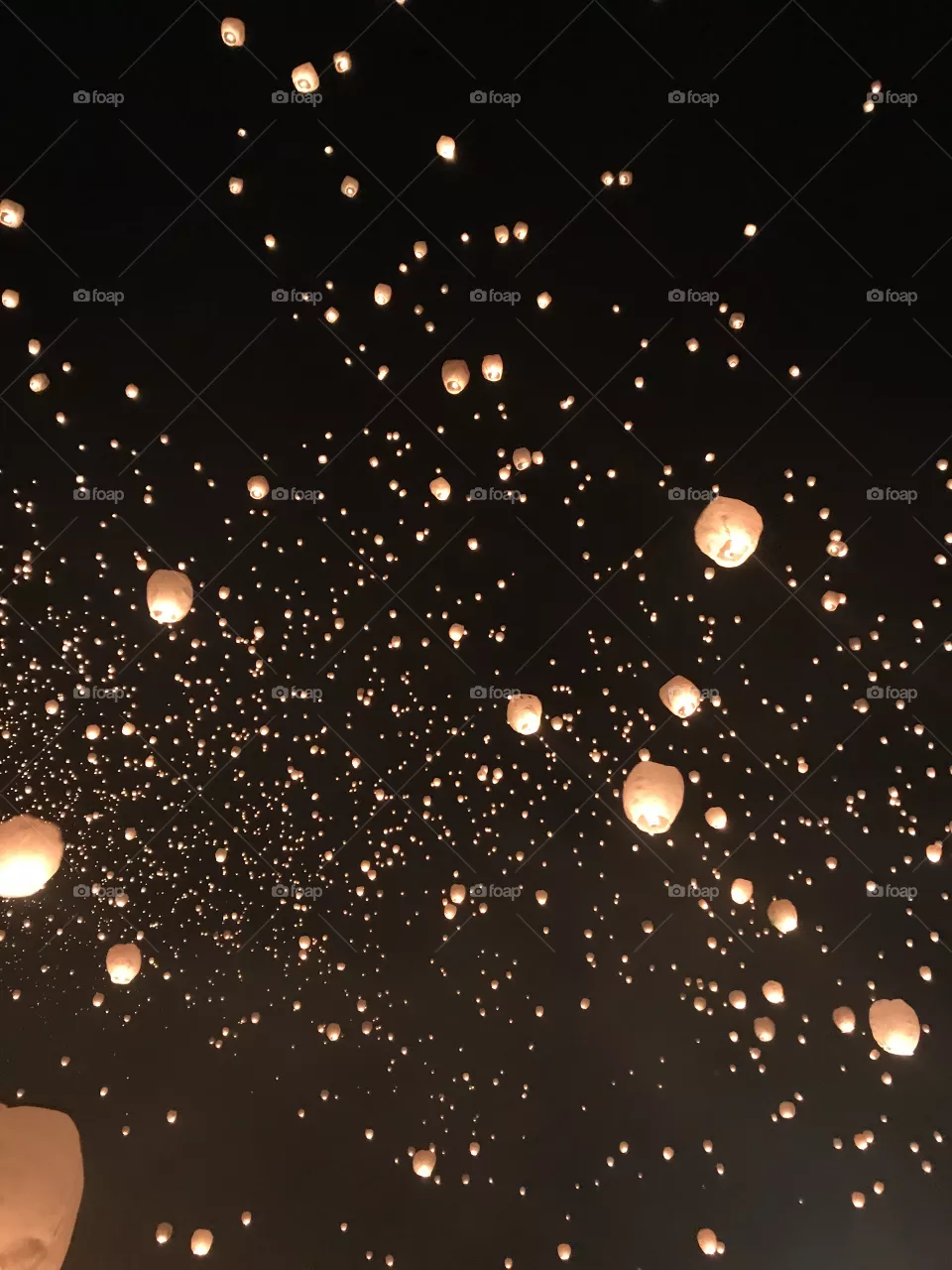 Lantern Light Life 