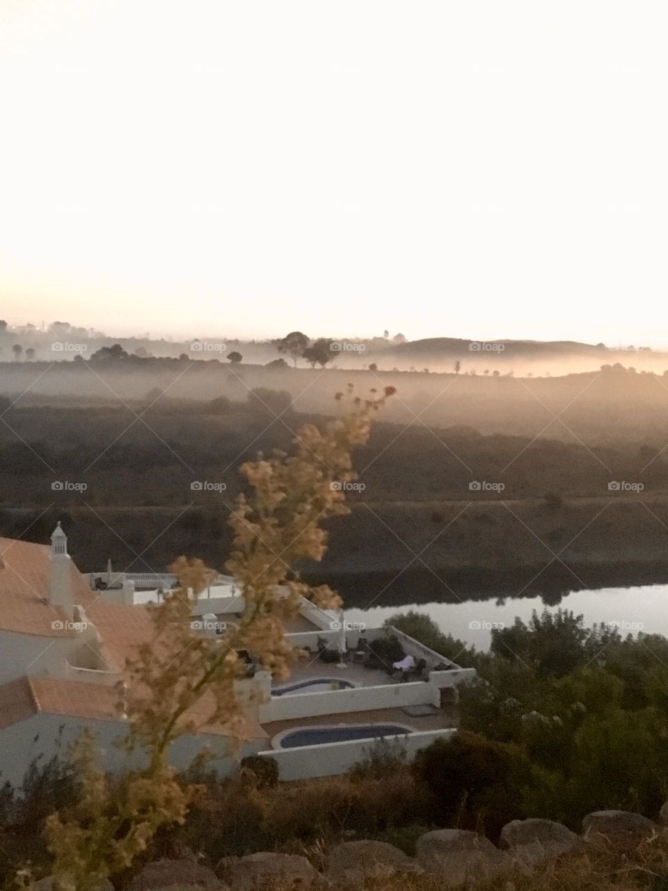 Grass in early morning light with mist