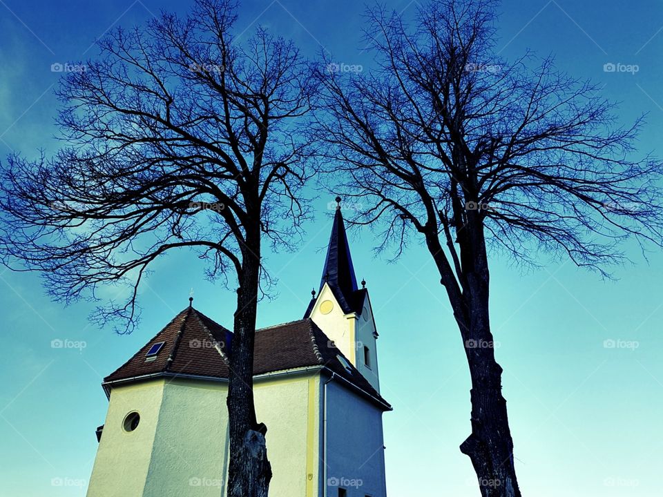 Church With Two Trees