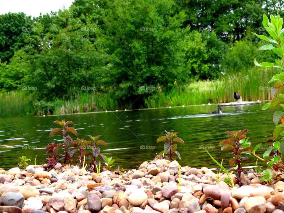 nature. nature in the Jubilee Campus ,University of Nottingham