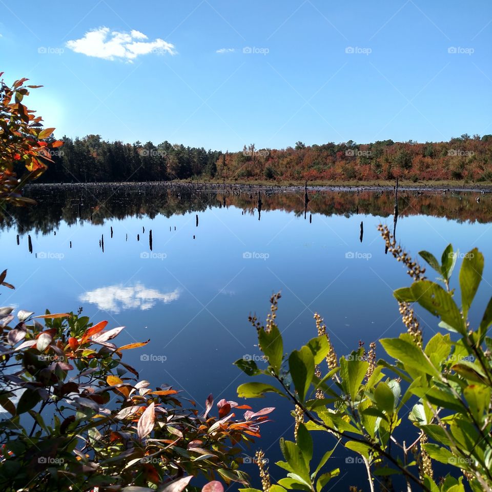 Double Trouble State Park, NJ