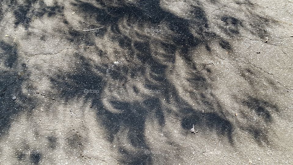 Crescent shaped shadows on driveway caused by moon during solar eclipse 