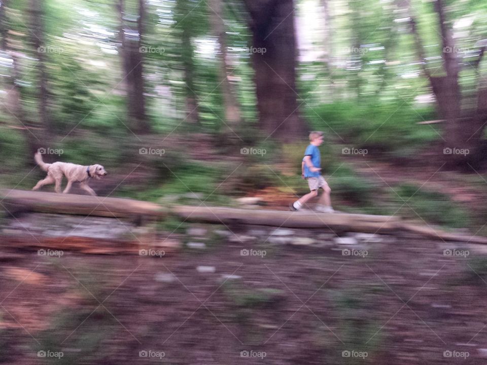 Dog Chase