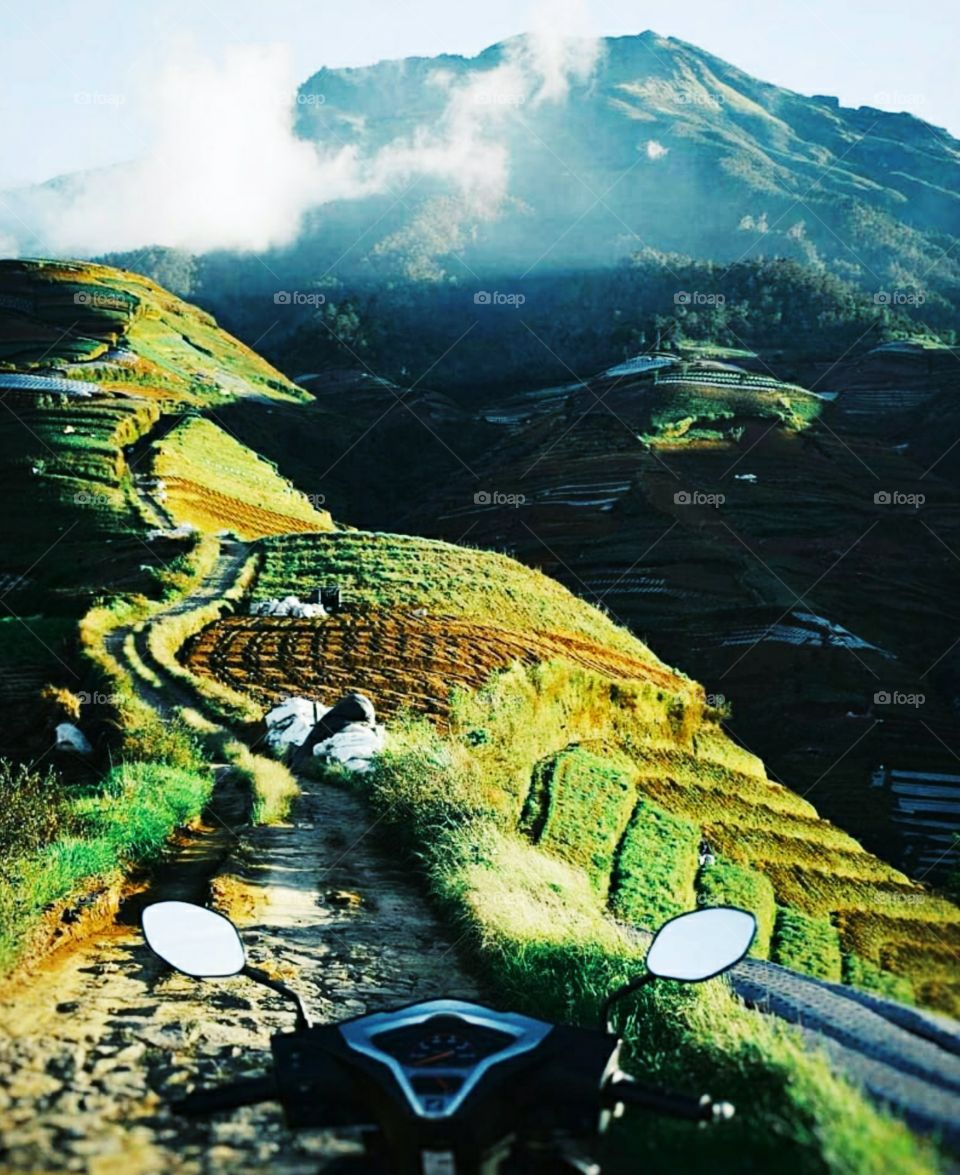 Dieng, central of java