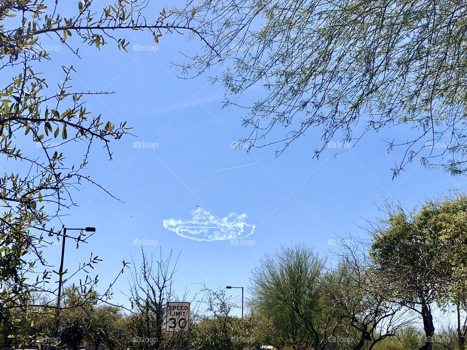Tank shaped jet trail in a blue sky framed by trees