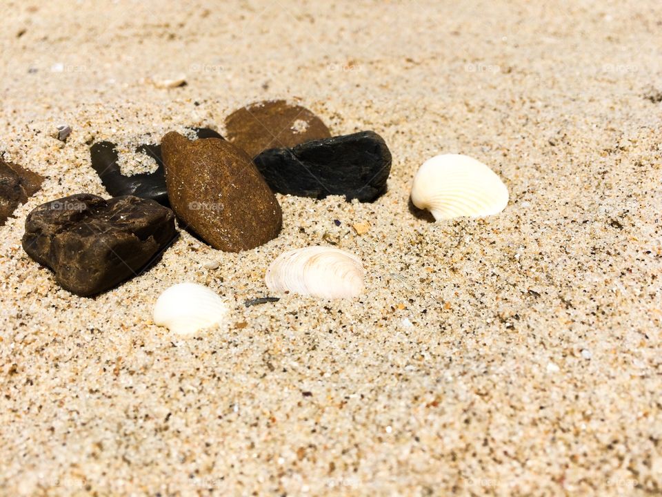 Shells and stones on a beach