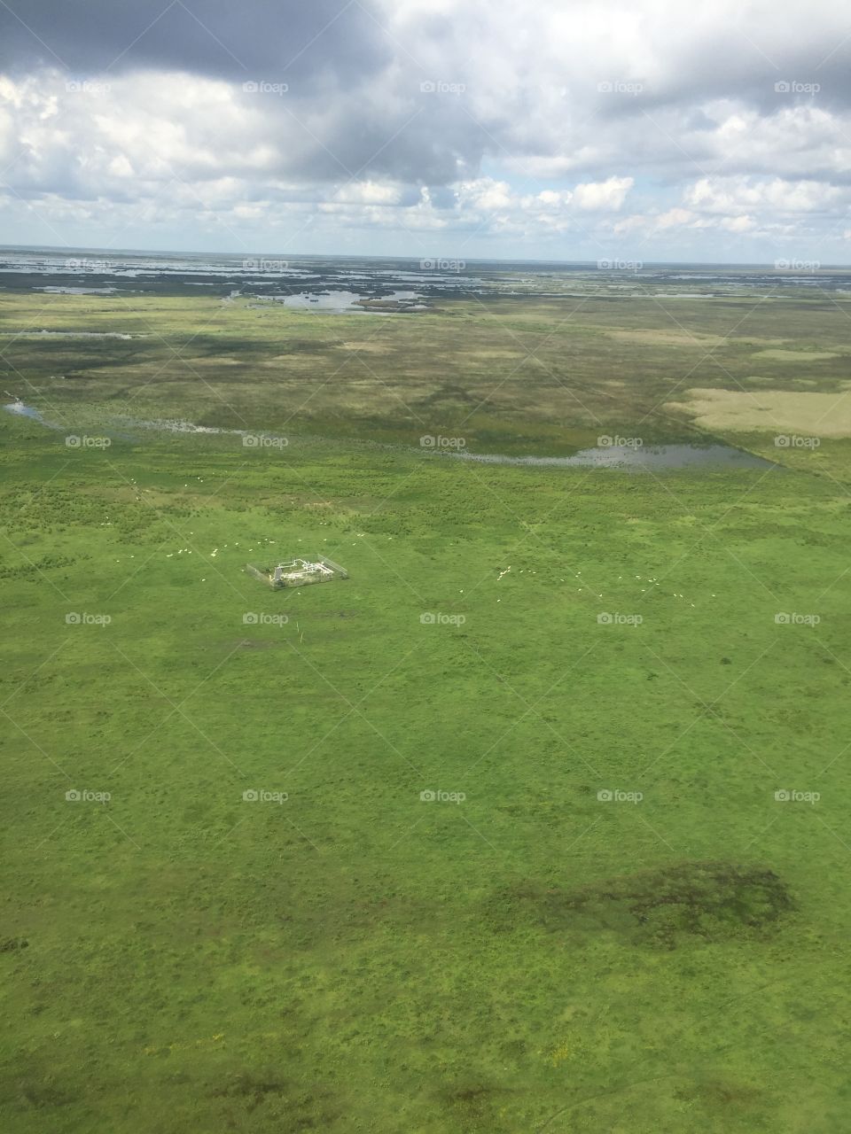 Helicopter view of Louisiana's wetlands near the Gulf of Mexico  